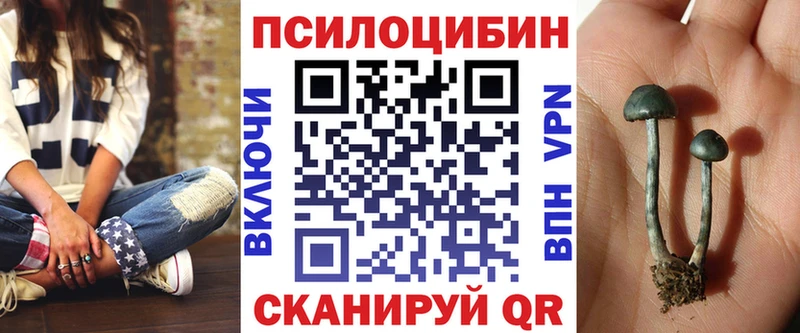 Галлюциногенные грибы MAGIC MUSHROOMS blacksprut маркетплейс Кущёвская наркотики